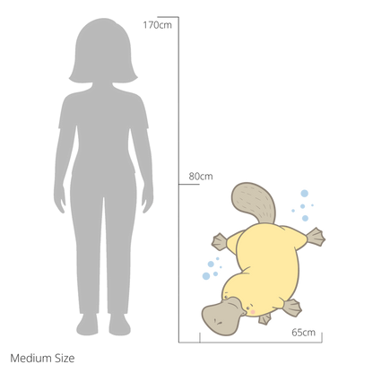 Patrick the Platypus wall sticker size guide – medium size dimensions for kids’ bedroom walls